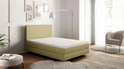 MONDO Boxspringbett grün