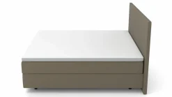 MONDO Boxspringbett grün