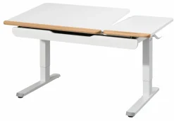 PAIDI Schreibtisch weiß