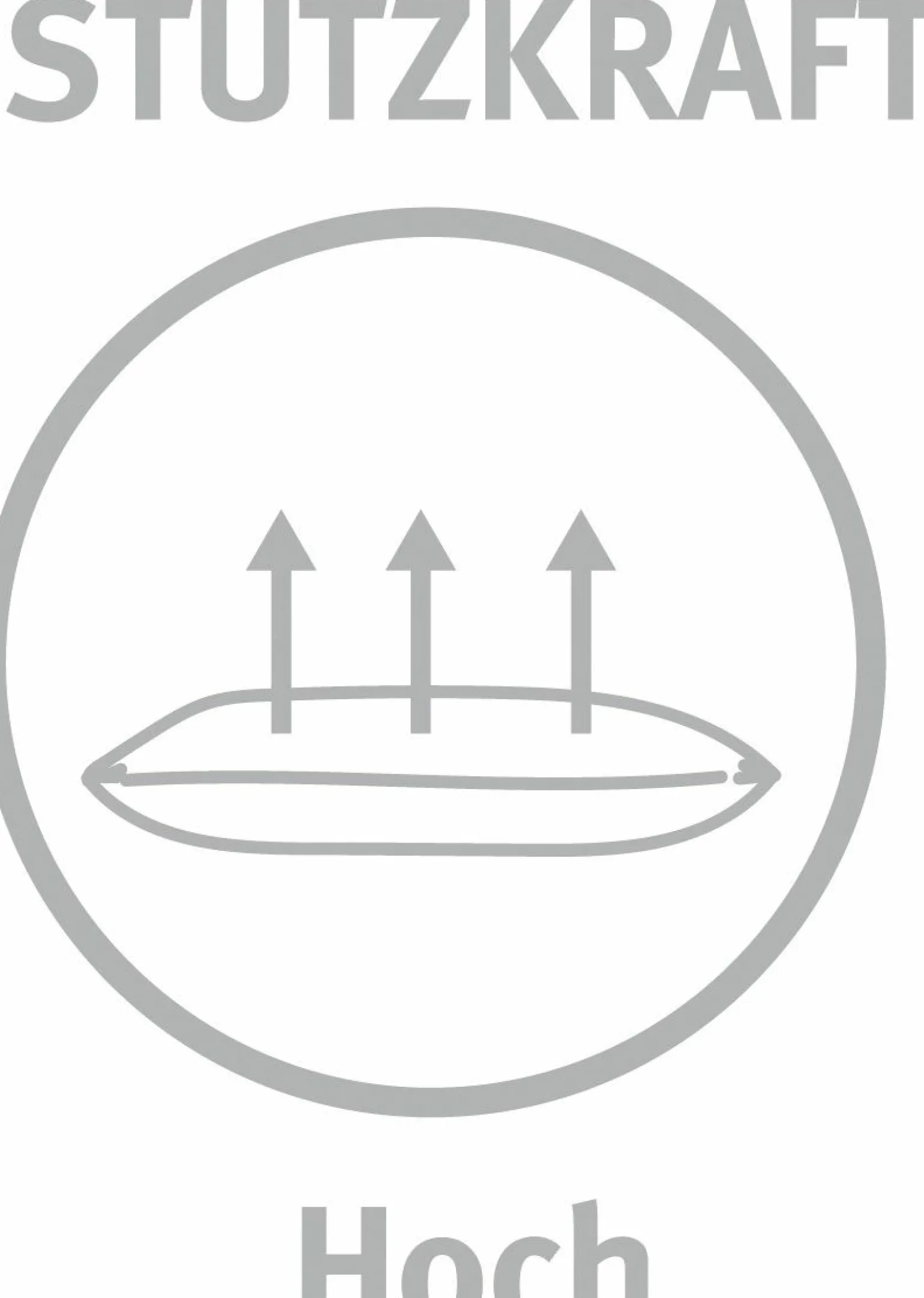 Paradies Drei-Kammerkissen 440g weiß