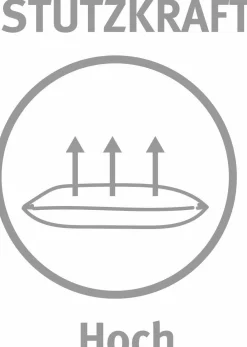 Paradies Kopfkissen 1080g weiß