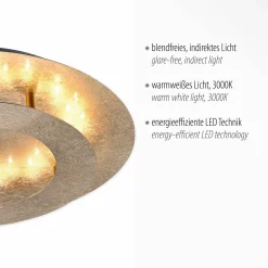 Paul Neuhaus LED-Deckenleuchte 1flg goldfarben