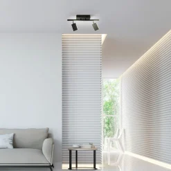 Paul Neuhaus LED-Deckenleuchte 2flg schwarz