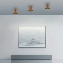 Paul Neuhaus LED-Deckenleuchte 1flg braun