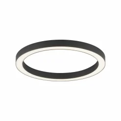 Paul Neuhaus LED-Deckenleuchte 1flg schwarz