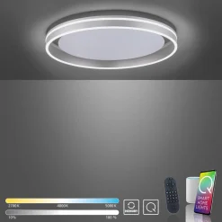 Paul Neuhaus LED-Deckenleuchte 1flg silberfarben