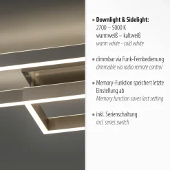Paul Neuhaus LED-Deckenleuchte 2flg silberfarben