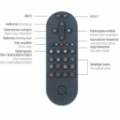 Paul Neuhaus LED-Deckenleuchte 1flg schwarz