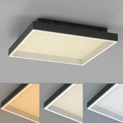 Paul Neuhaus LED-Deckenleuchte 1flg schwarz