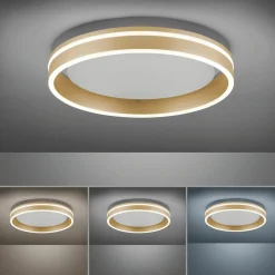 Paul Neuhaus LED-Deckenleuchte 1flg goldfarben