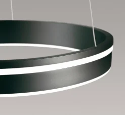 Paul Neuhaus LED-Deckenleuchte 1flg schwarz