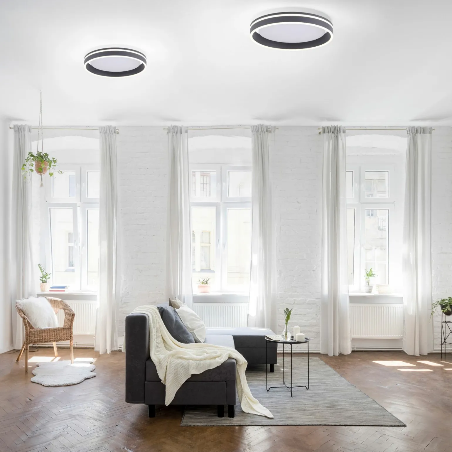 Paul Neuhaus LED-Deckenleuchte 1flg schwarz