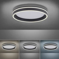 Paul Neuhaus LED-Deckenleuchte 1flg schwarz