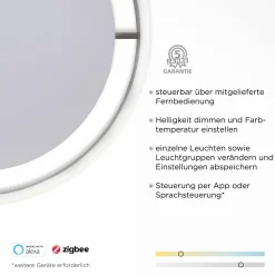 Paul Neuhaus LED-Deckenleuchte 1flg schwarz