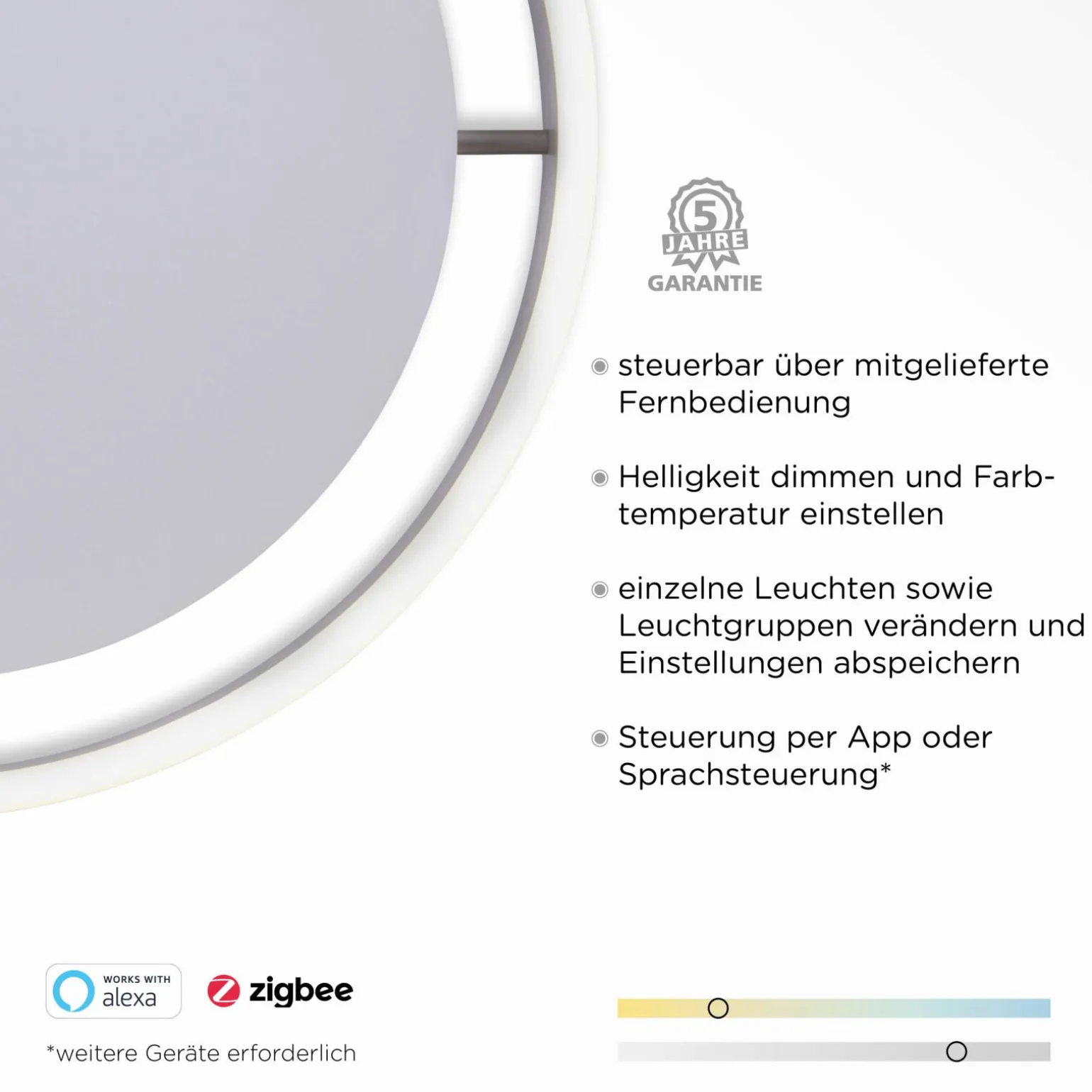 Paul Neuhaus LED-Deckenleuchte 1flg schwarz