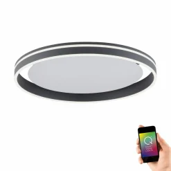 Paul Neuhaus LED-Deckenleuchte 1flg schwarz