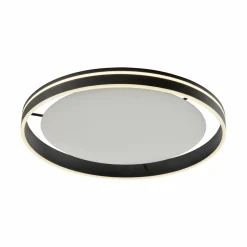 Paul Neuhaus LED-Deckenleuchte 1flg schwarz