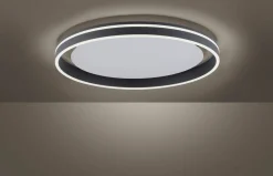 Paul Neuhaus LED-Deckenleuchte 1flg schwarz
