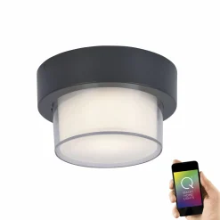 Paul Neuhaus LED-Deckenleuchte 1flg schwarz