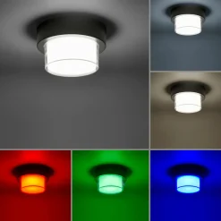 Paul Neuhaus LED-Deckenleuchte 1flg schwarz