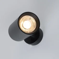 Paul Neuhaus LED-Deckenleuchte 1flg schwarz