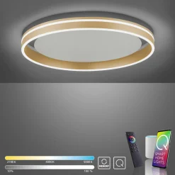 Paul Neuhaus LED-Deckenleuchte 1flg goldfarben