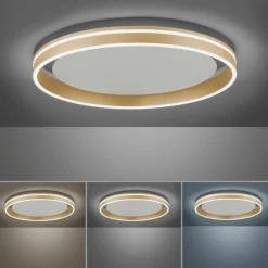 Paul Neuhaus LED-Deckenleuchte 1flg goldfarben