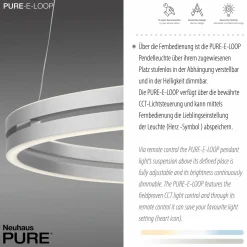 Paul Neuhaus LED-Pendelleuchte 2flg silberfarben