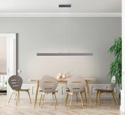 Paul Neuhaus LED-Pendelleuchte 1flg schwarz