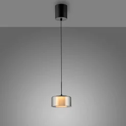 Paul Neuhaus LED-Pendelleuchte 1flg schwarz