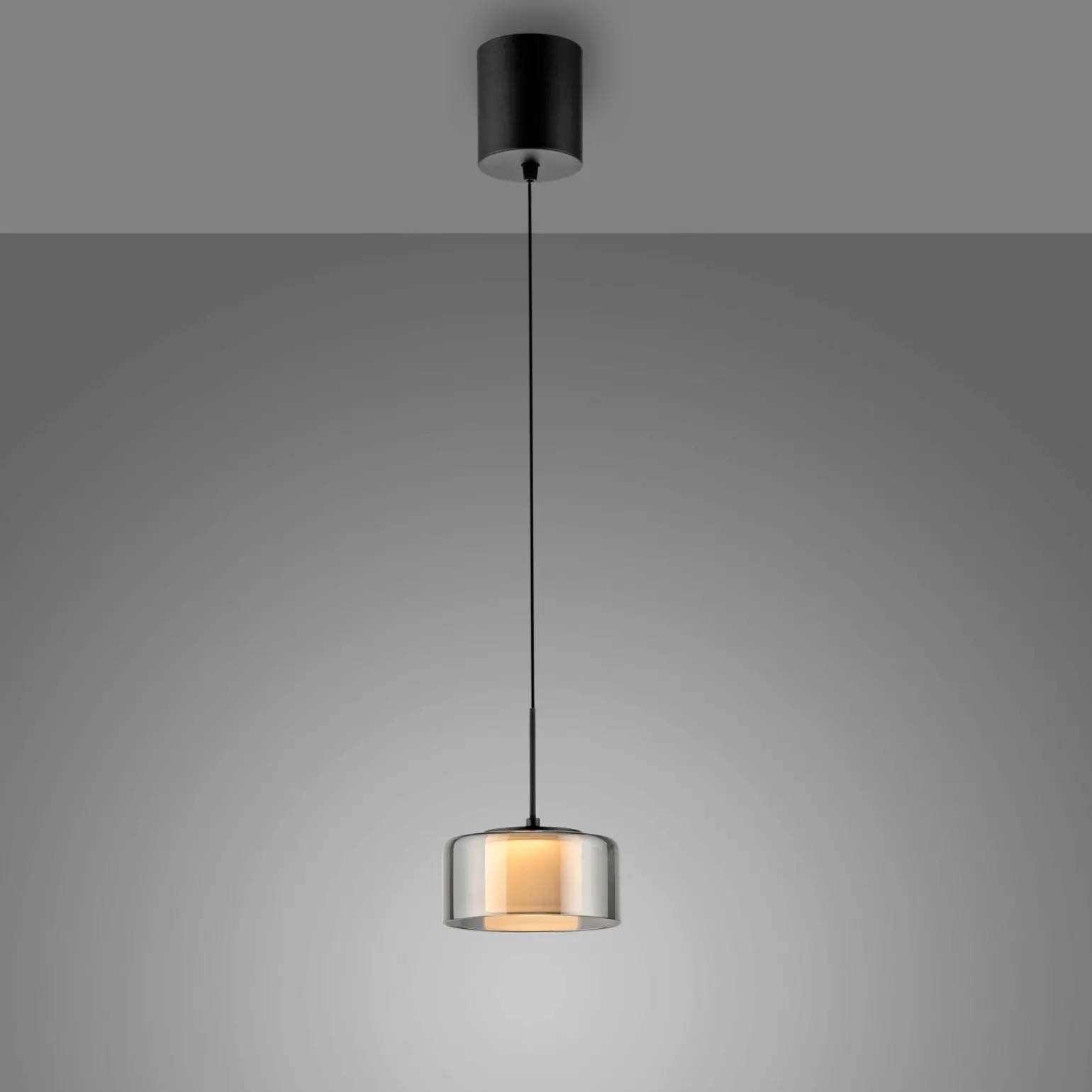 Paul Neuhaus LED-Pendelleuchte 1flg schwarz