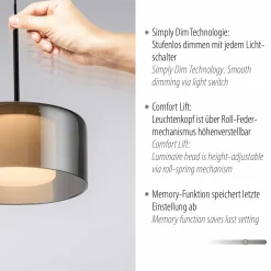 Paul Neuhaus LED-Pendelleuchte 1flg schwarz