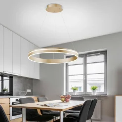 Paul Neuhaus LED-Pendelleuchte 1flg goldfarben