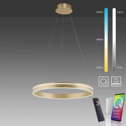 Paul Neuhaus LED-Pendelleuchte 1flg goldfarben