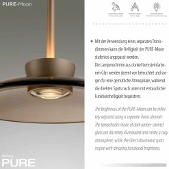 Paul Neuhaus LED-Pendelleuchte 6flg braun