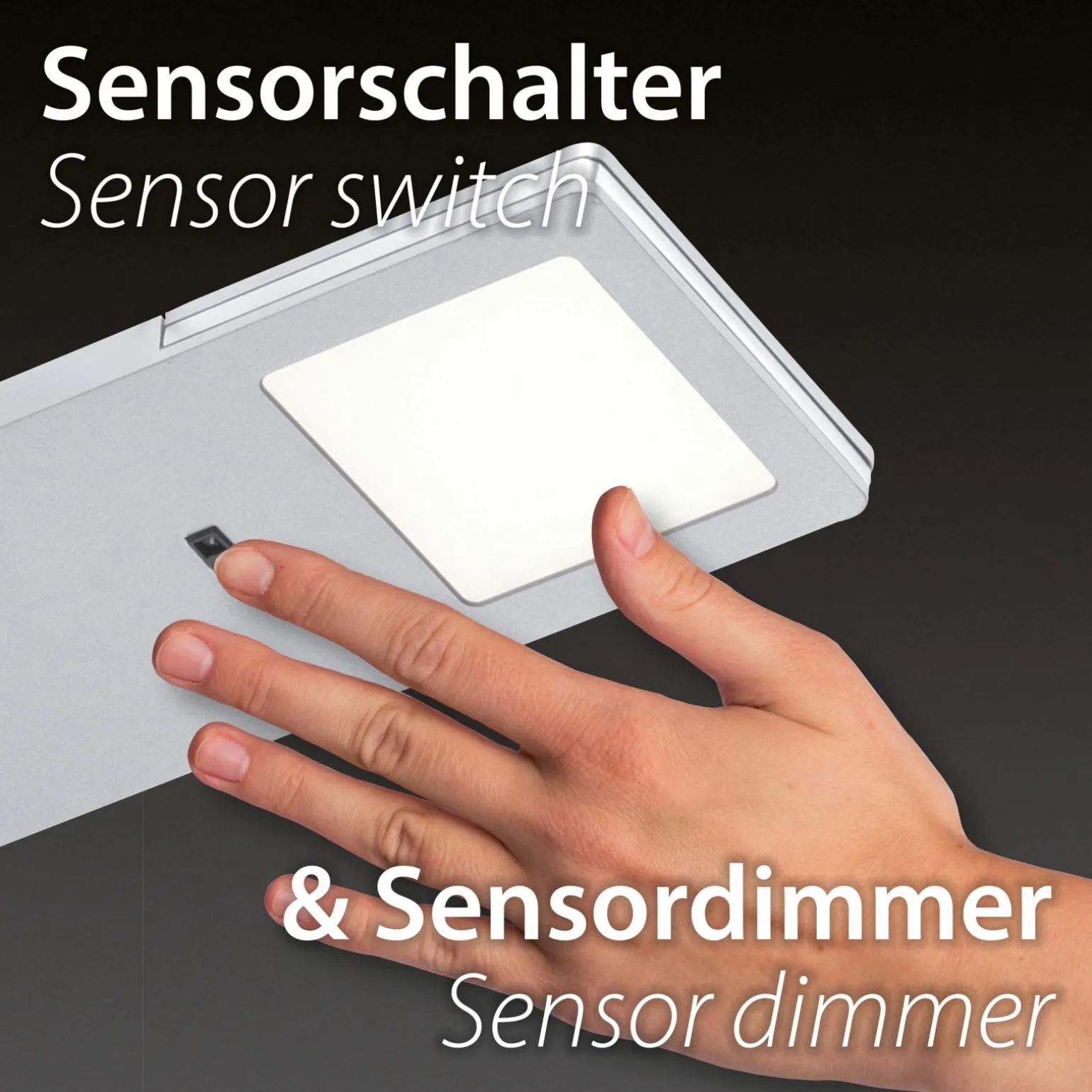 Paul Neuhaus LED-Pendelleuchte 6flg schwarz