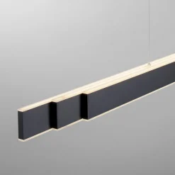 Paul Neuhaus LED-Pendelleuchte 6flg schwarz