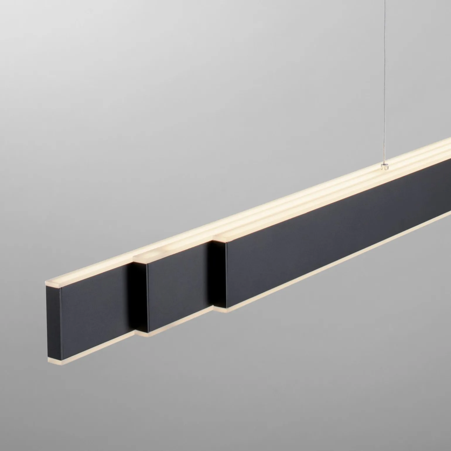 Paul Neuhaus LED-Pendelleuchte 6flg schwarz