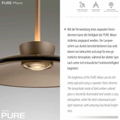Paul Neuhaus LED-Pendelleuchte 2flg braun