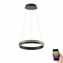Paul Neuhaus LED-Pendelleuchte 1flg schwarz