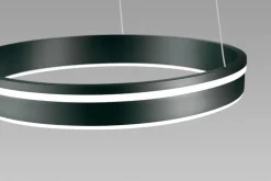 Paul Neuhaus LED-Pendelleuchte 1flg schwarz