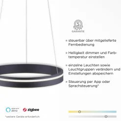 Paul Neuhaus LED-Pendelleuchte 1flg schwarz