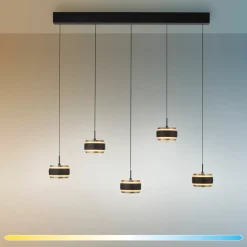 Paul Neuhaus LED-Pendelleuchte 5flg schwarz