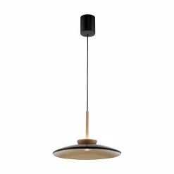 Paul Neuhaus LED-Pendelleuchte 2flg braun