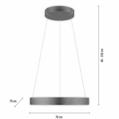 Paul Neuhaus LED-Pendelleuchte 2flg grau