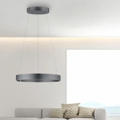 Paul Neuhaus LED-Pendelleuchte 2flg grau