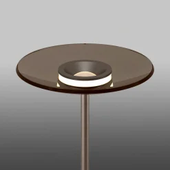 Paul Neuhaus LED-Stehleuchte 2flg braun