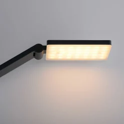 Paul Neuhaus LED-Stehleuchte 1flg grau