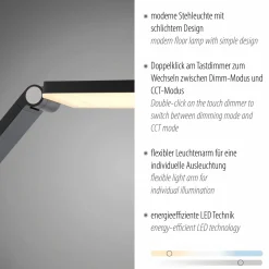 Paul Neuhaus LED-Stehleuchte 1flg grau