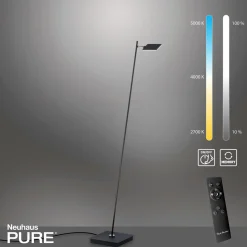 Paul Neuhaus LED-Stehleuchte 1flg schwarz